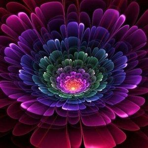 Meet your Posher, Paula